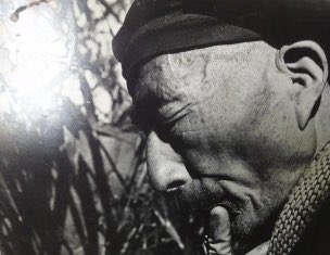 lexproof's tweet image. “Decide that wherever you are is the best place there is. Once you start comparing, there’s no end to it.”

- Sodo Yokoyama