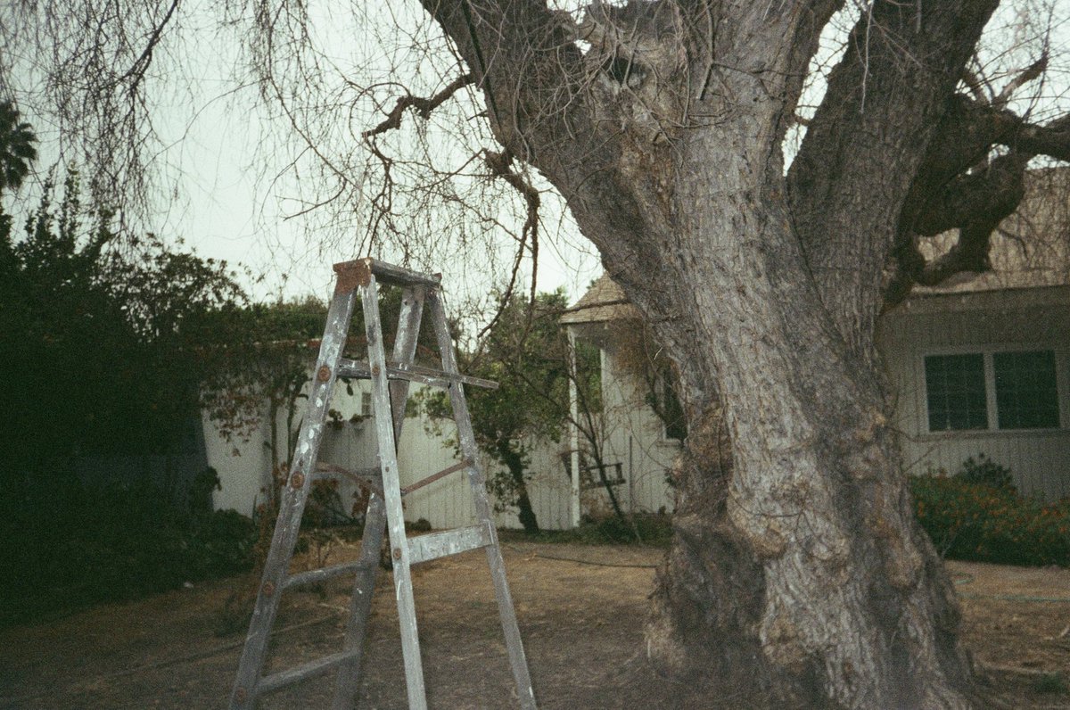 Madisonora_'s tweet photo. September on film https://t.co/bG06FQoMcj