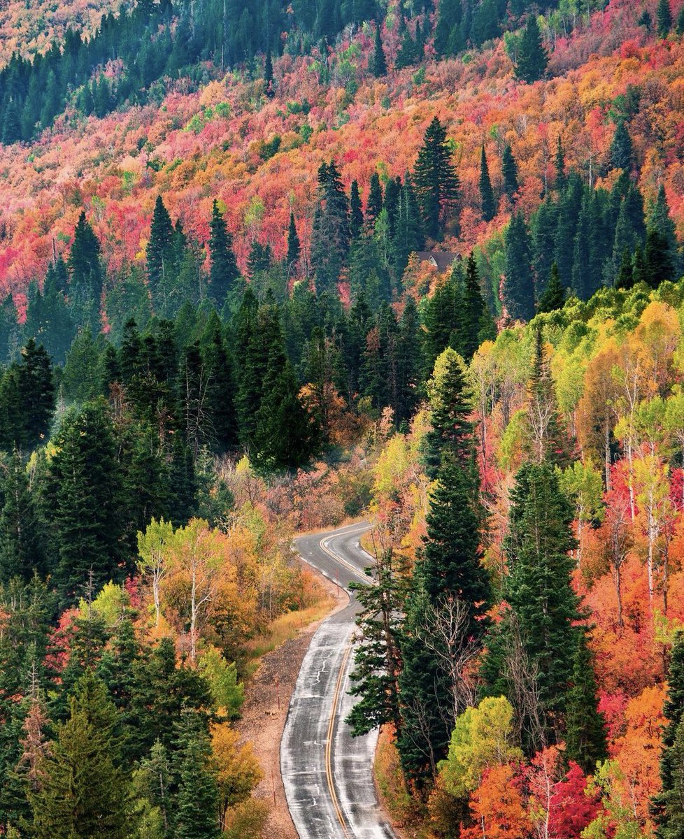 Utah in the fall is undefeated.