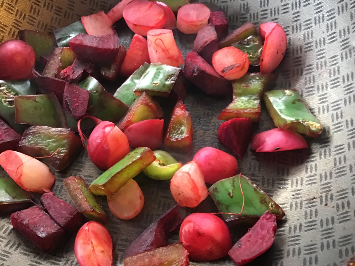 Cecalli_Helper's tweet photo. @WCKitchen @chefjoseandres Hola from Uruguay! Some meals I've cooked using my garden ingredients & locally sourced food #organic #healthy #foodsec #urbanfarm #permaculture #WorldFoodDay see more at @chefjoseandres @WCKitchen #CookingWithWCK #instagram https://t.co/H8xRVP8W36