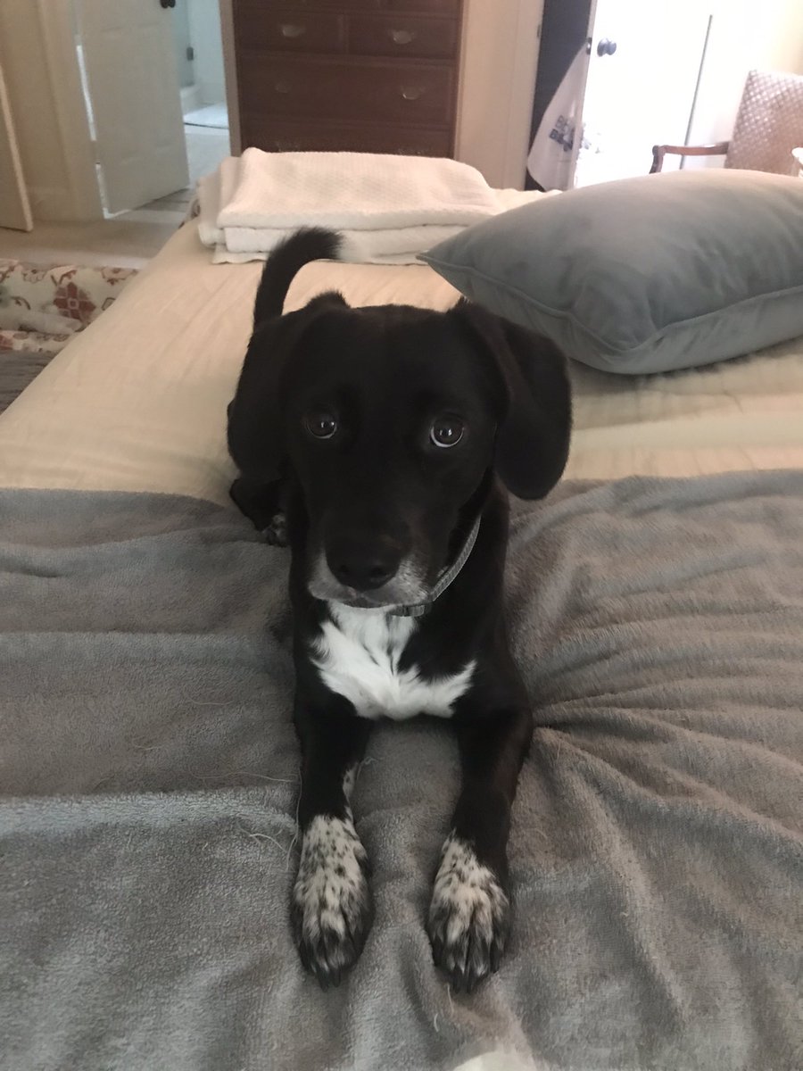 Peter Lowder tweet media