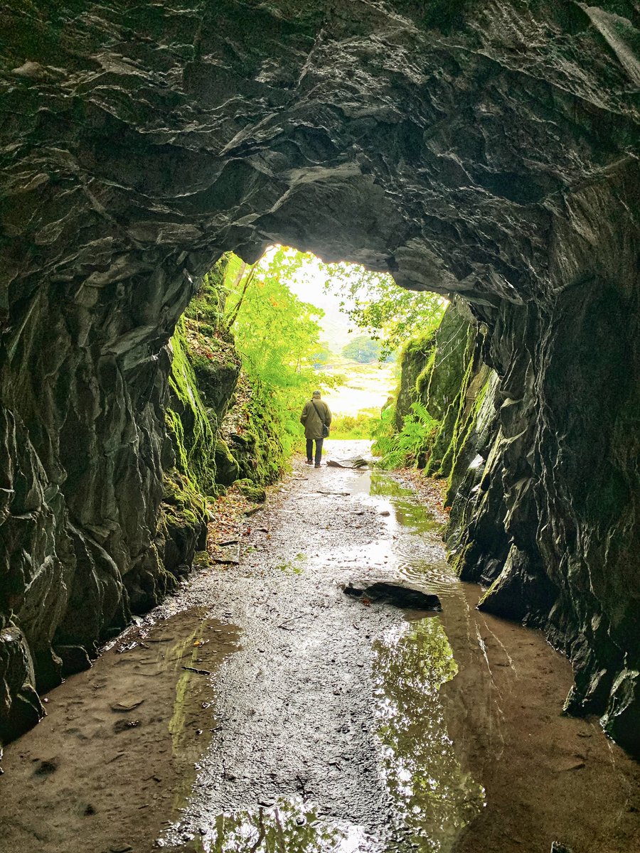 Shelley_Cash1's tweet photo. 📍Cathedral Quarry, The Lake District
#lakedistrict #thelakesistrict #cathedralquarry #cathedralcavern #exploringcaves #slatemine #caves #explorer #adventureseeker https://t.co/37aPTO0uOq