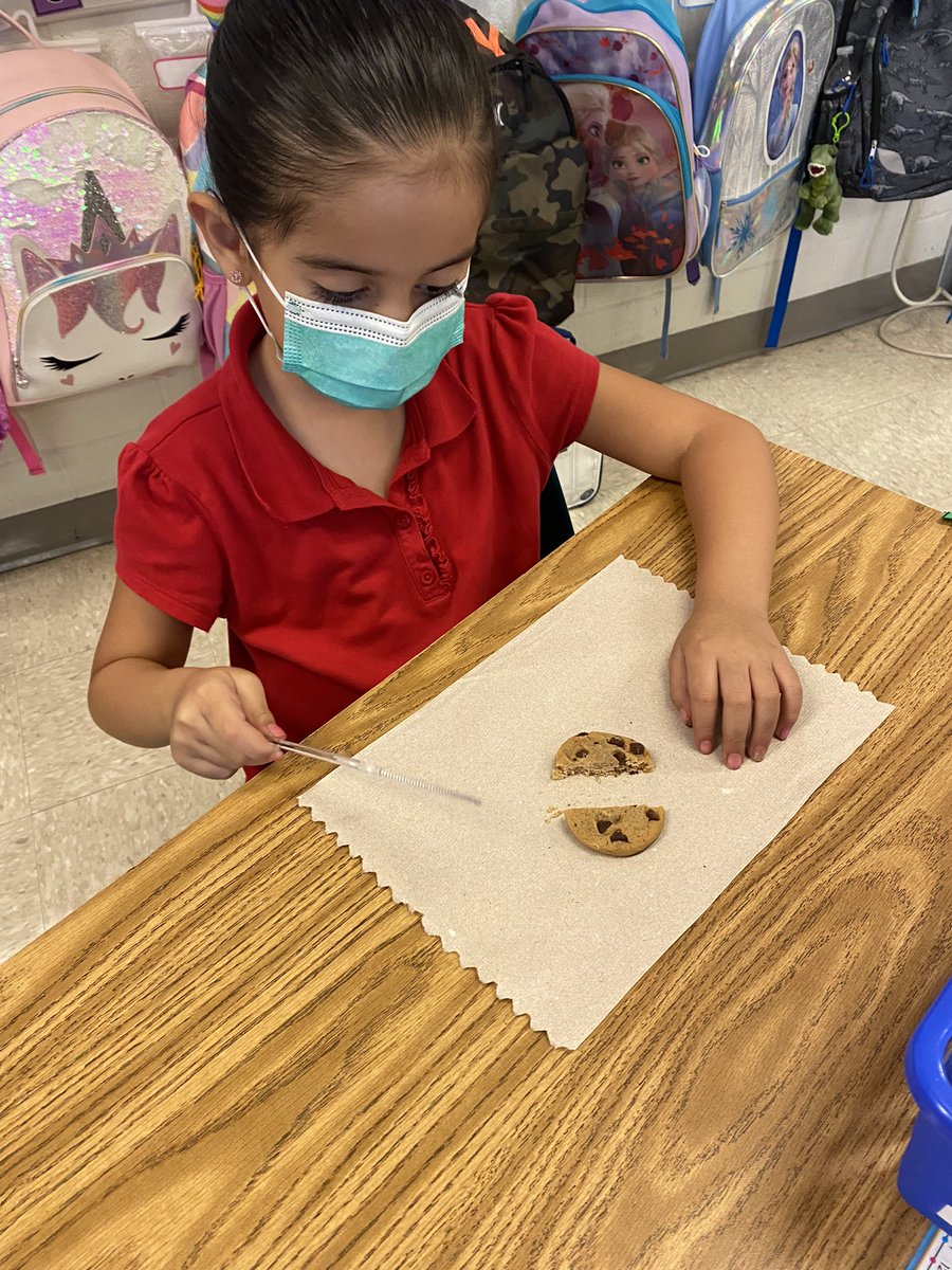 OESFirst108's tweet photo. Mrs. Guzman’s first graders.     Fractions halves and fourths https://t.co/5C7vmUhJzL