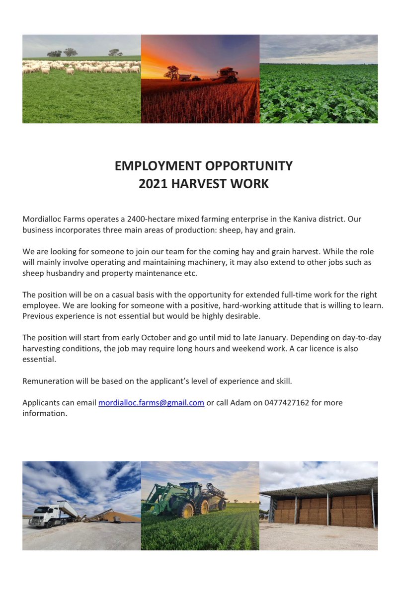 Adam Wallis (@ag_wallis) on Twitter photo 