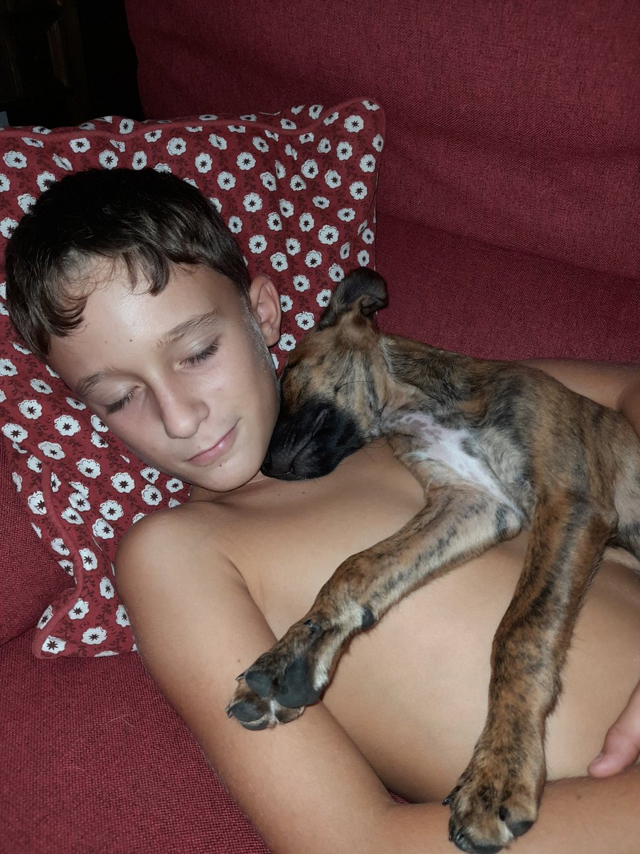 Debofer36's tweet image. Mientras... le seguimos dando todo nuestro cariño y amor