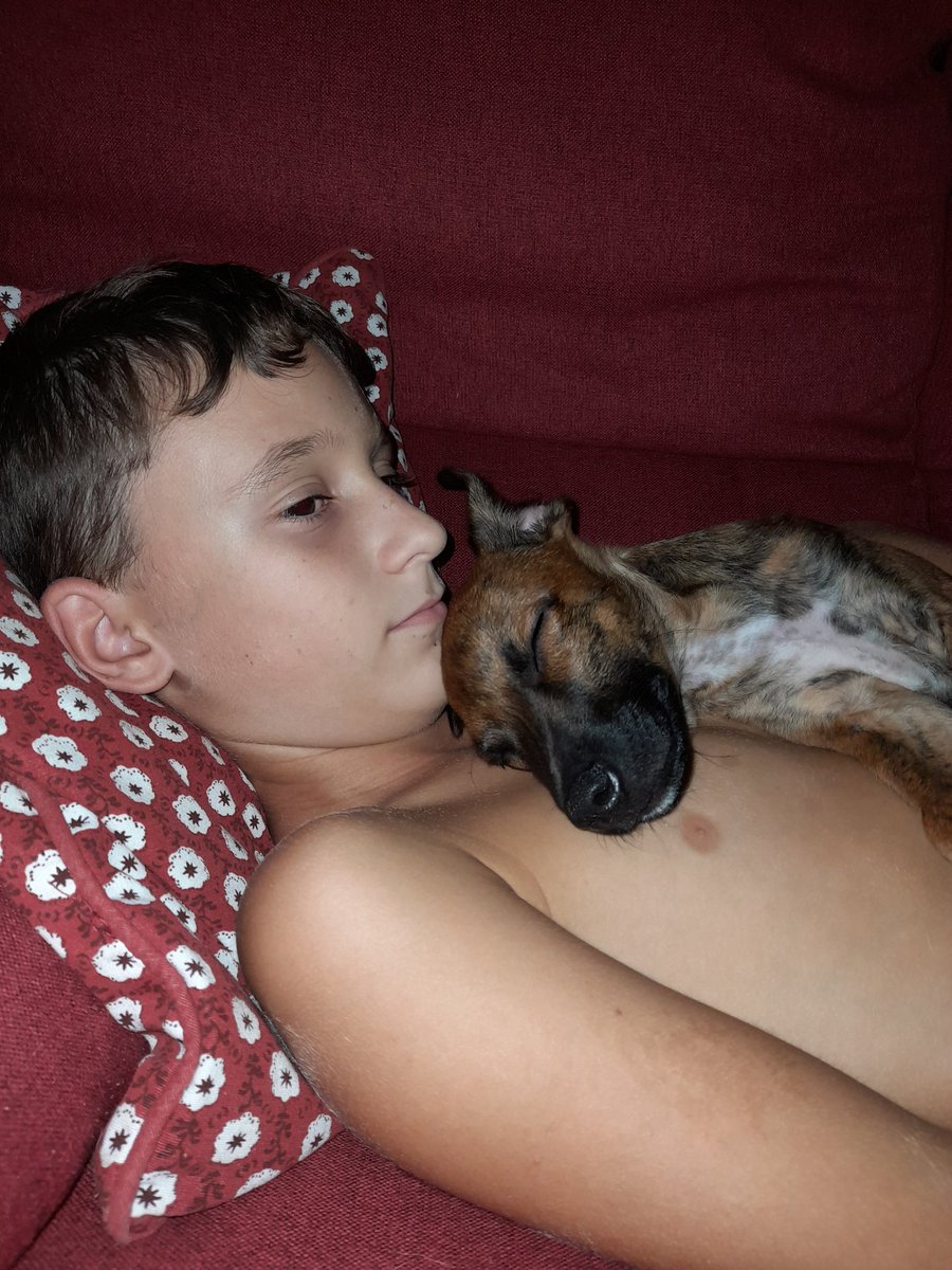 Debofer36's tweet image. Mientras... le seguimos dando todo nuestro cariño y amor