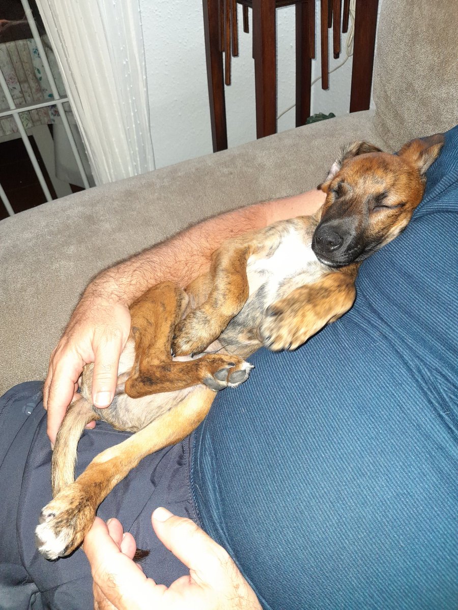 Debofer36's tweet image. Mientras... le seguimos dando todo nuestro cariño y amor