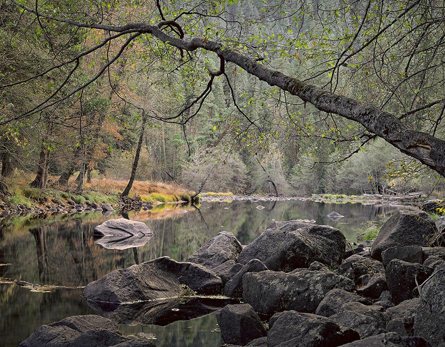 TheAnselAdams's tweet photo. Fall is a pleasant reminder to slow down from time to time and soak in the beauty that's around us. 🍁✨ 

Overhanging Branch, Merced River, Yosemite by Charles Cramer #AAGFilmFridays. 

#TheAnselAdamsGallery #CharlesCramer #RepresentedArtist #Autumn #YosemiteNationalPark https://t.co/B7wCjDsuTs