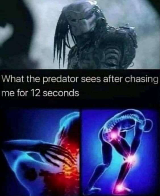 atomjack604's tweet photo. #predated #vision... (#predator #sees #pain #aches #chase #12seconds #anatomy) https://t.co/JOMaMwVxhP
