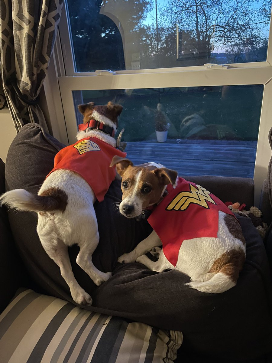 Tera Brickner tweet media