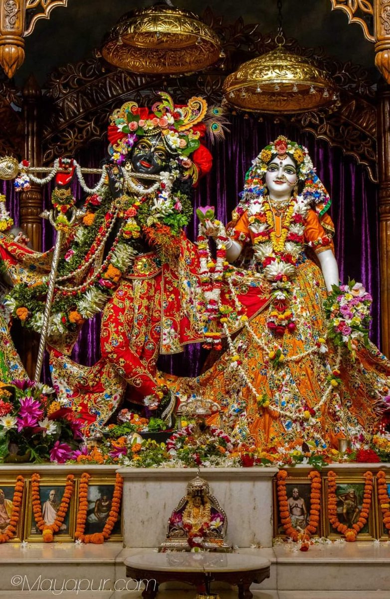 mondal_sc's tweet photo. @boo_gi100 https://t.co/nzgXW9cQmq