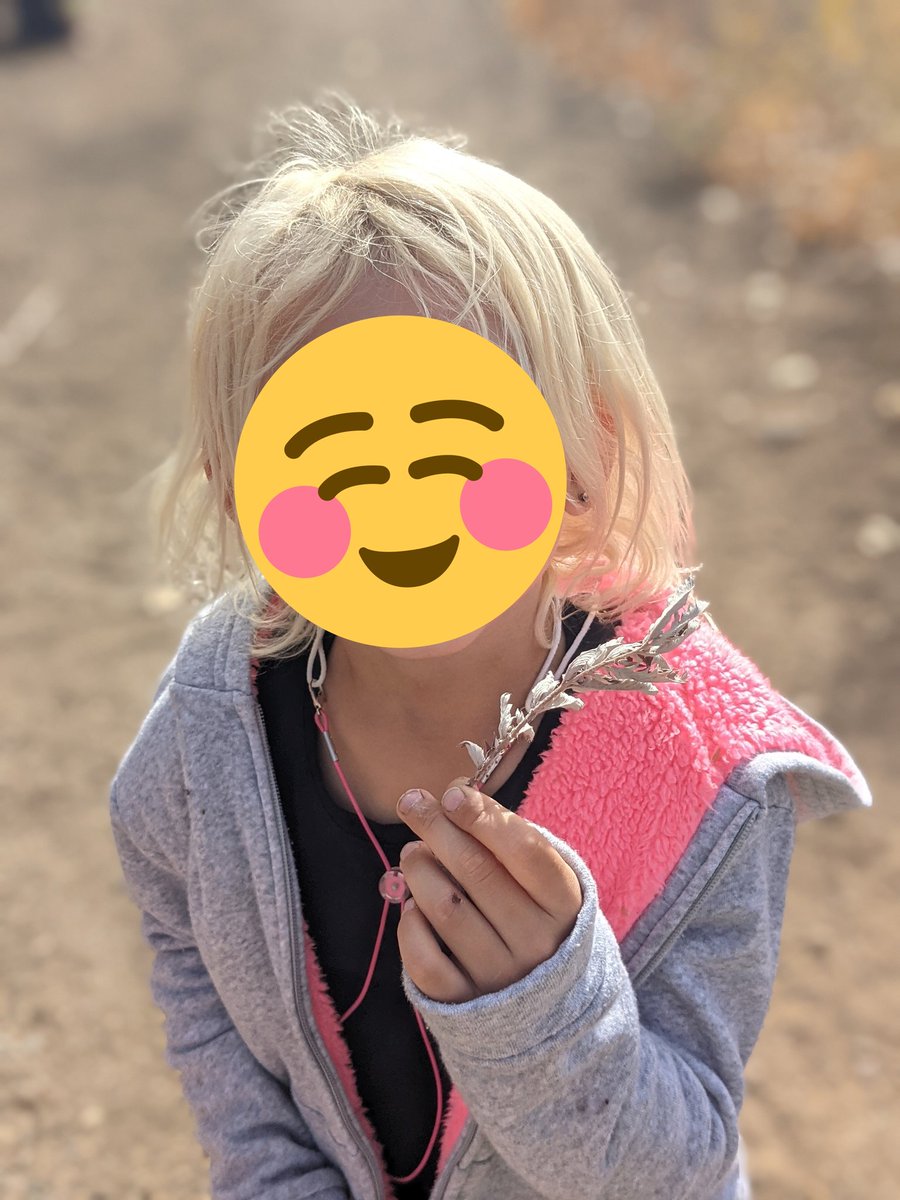 mrscoles2's tweet image. We reread &quot;Tiny, Perfect Things&quot; and went out on a nature walk with magnifying glasses to find tiny, perfect things. #tinyperfectthings #naturewalks #lakevistaschool