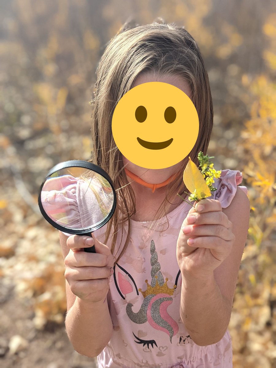 mrscoles2's tweet image. We reread &quot;Tiny, Perfect Things&quot; and went out on a nature walk with magnifying glasses to find tiny, perfect things. #tinyperfectthings #naturewalks #lakevistaschool