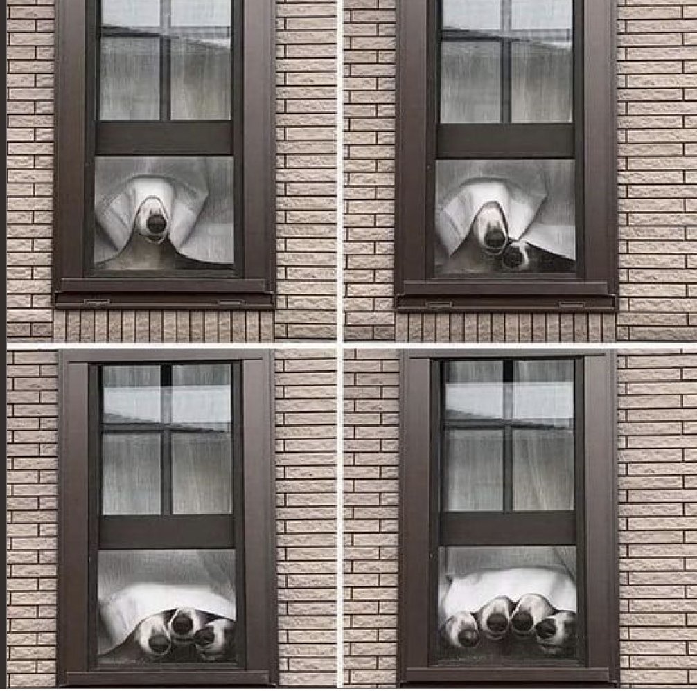 WholesomeMemes (@wholesomememe) on Twitter photo 