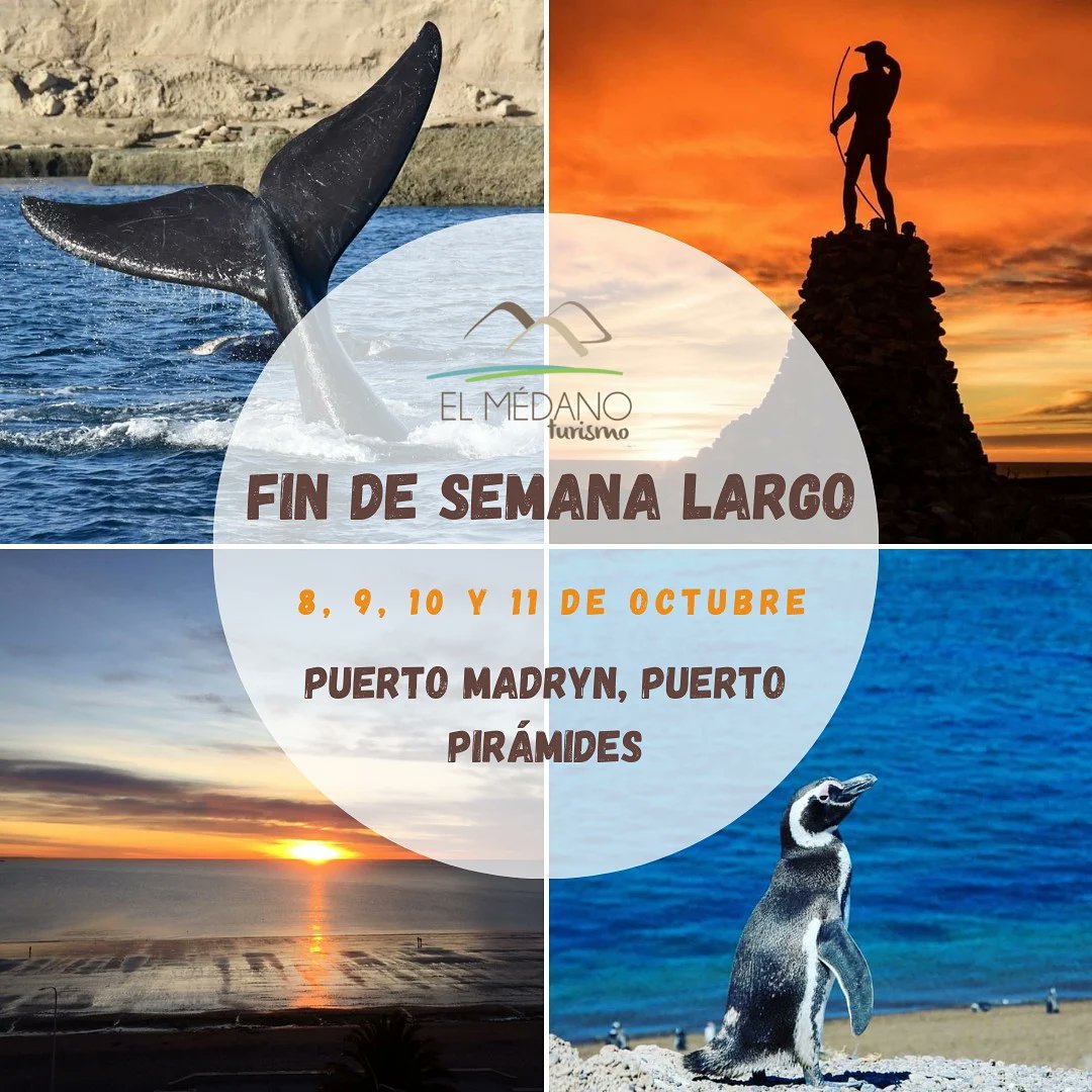 ElMedanoTurismo's tweet photo. 🔹️FIN DE SEMANA LARGO🔹️
➡️Puerto Madryn y sus alrededores es una gran opción para disfrutar el aire puro, apreciando la flora y fauna que lo identifica🌊☀️
ℹ 8, 9, 10 y 11 de Octubre FIN DE SEMANA LARGO
.
.
📍Escribinos y te ayudamos, https://t.co/wwTmvSlzjT