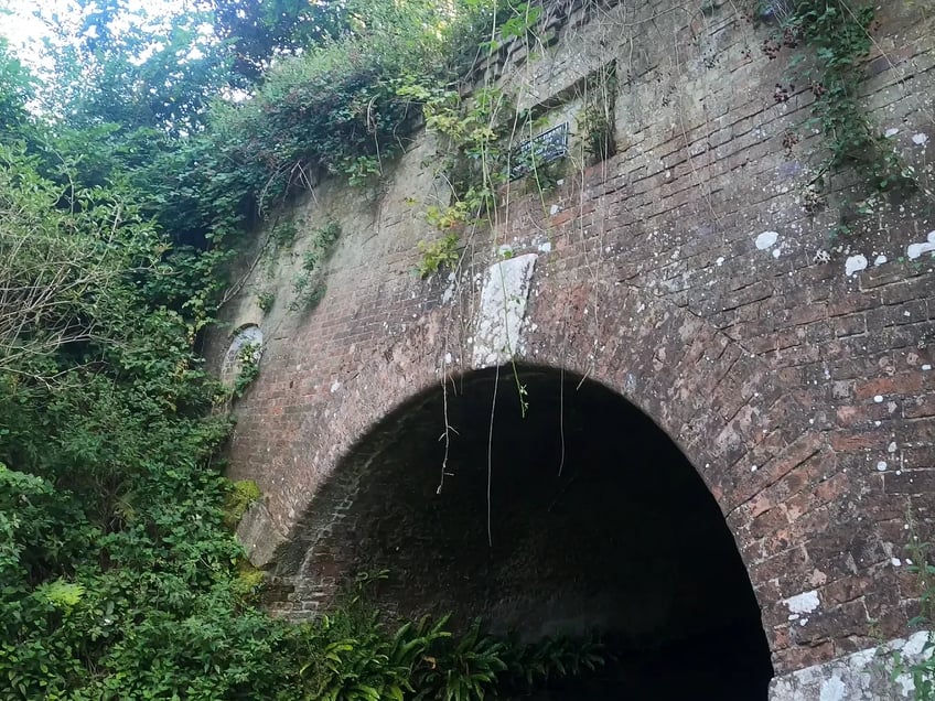 NatureEstate_'s tweet image. Beautiful walk along Basingstoke Canal; one of the most botanically rich aquatic areas in England! 🌿 
I got to see Greywell Tunnel, which supports one of Europe's largest bat roosts 🦇
#2021EBE #greywell #ecology #bats #odiham #walk #hampshire #basingstokecanal #nature