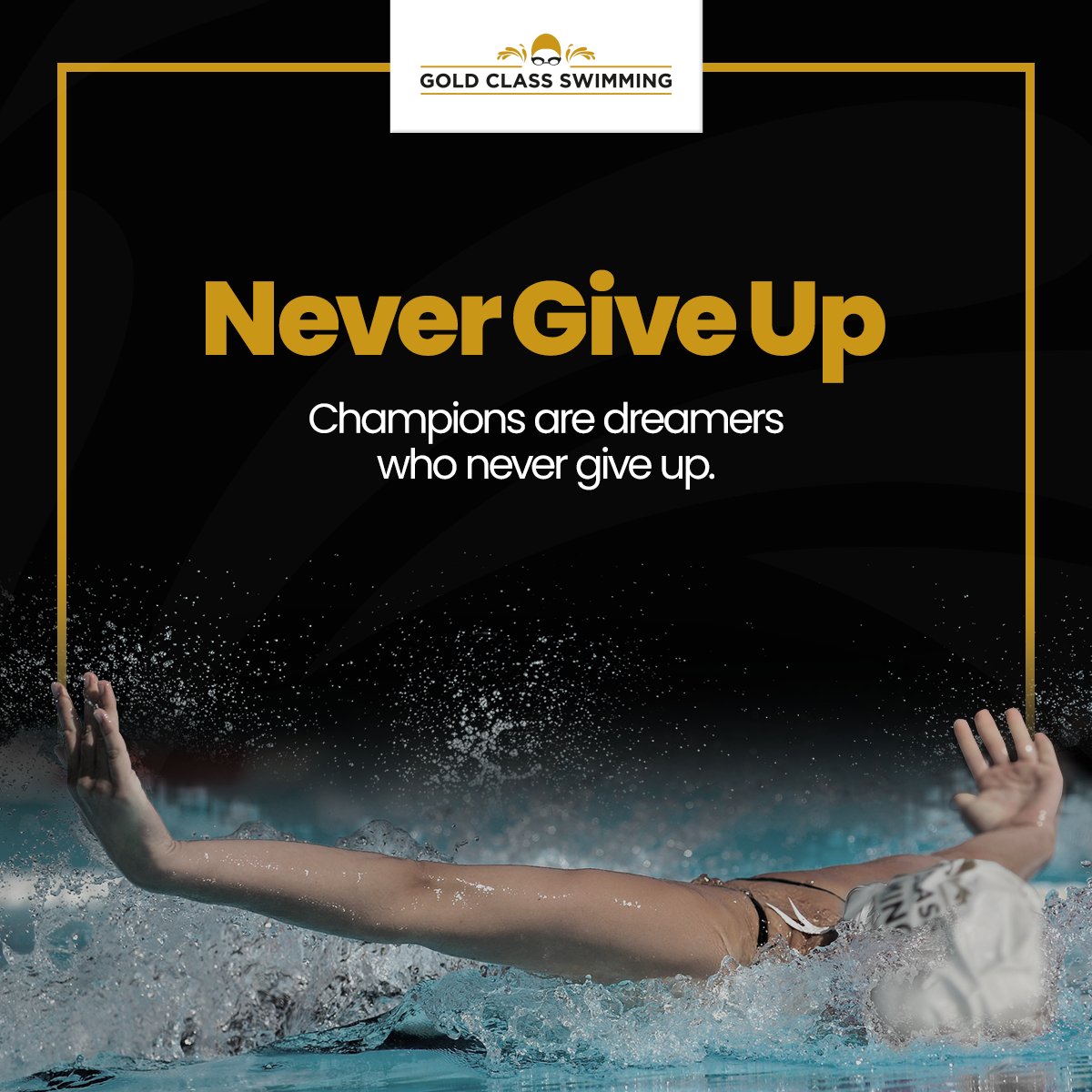 GoldClassSwim's tweet photo. Never Give Up
"Champions are dreamers who never give up." https://t.co/TQi8LxxnOG