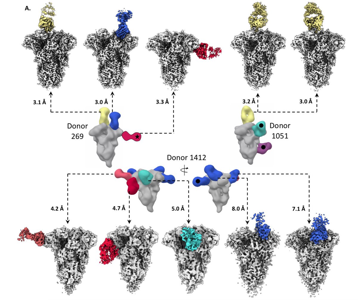 The Ward Lab tweet media