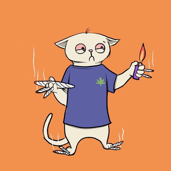 BLAZEDCATS.ETH tweet media