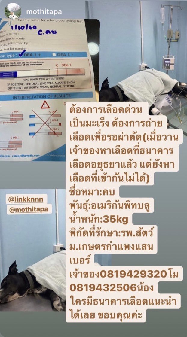 แพมไอ๋🫧 tweet media