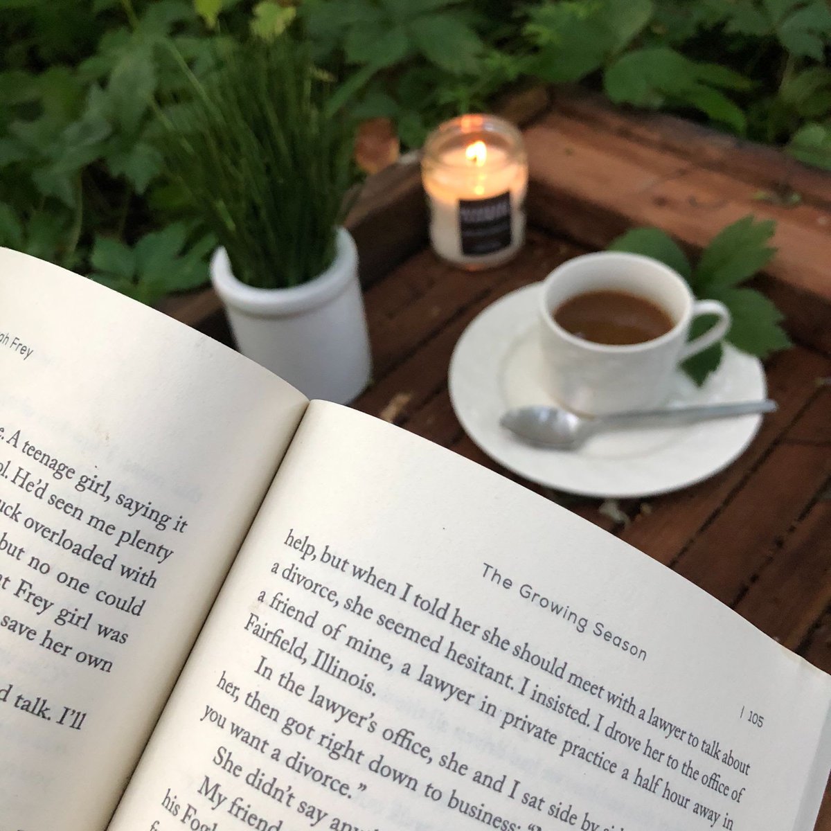 GrowingSeason_'s tweet photo. Happy #NationalBookMonth! With the sweater weather and cool breeze, we can’t think of a better way to kick back and enjoy @RealSarahFrey’s memoir, #TheGrowingSeason. 

Look out for the paperback version, coming October 5!

Pre-order your copy here:

https://t.co/oe2SrN6TRj https://t.co/pb1GDA2PRs