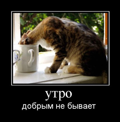 Чего только ни бывает. Среда цитаты смешные. С добрым утром демотиваторы смешные. Утро добрым не бывает. Брюс ли афоризмы.