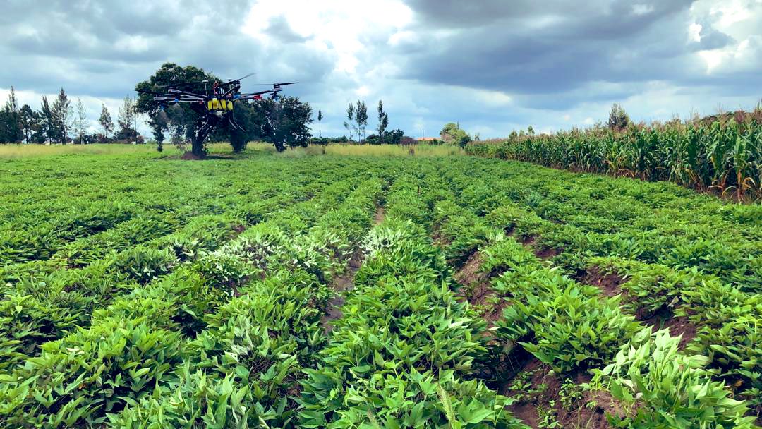 Emmanuel Marume tweet media