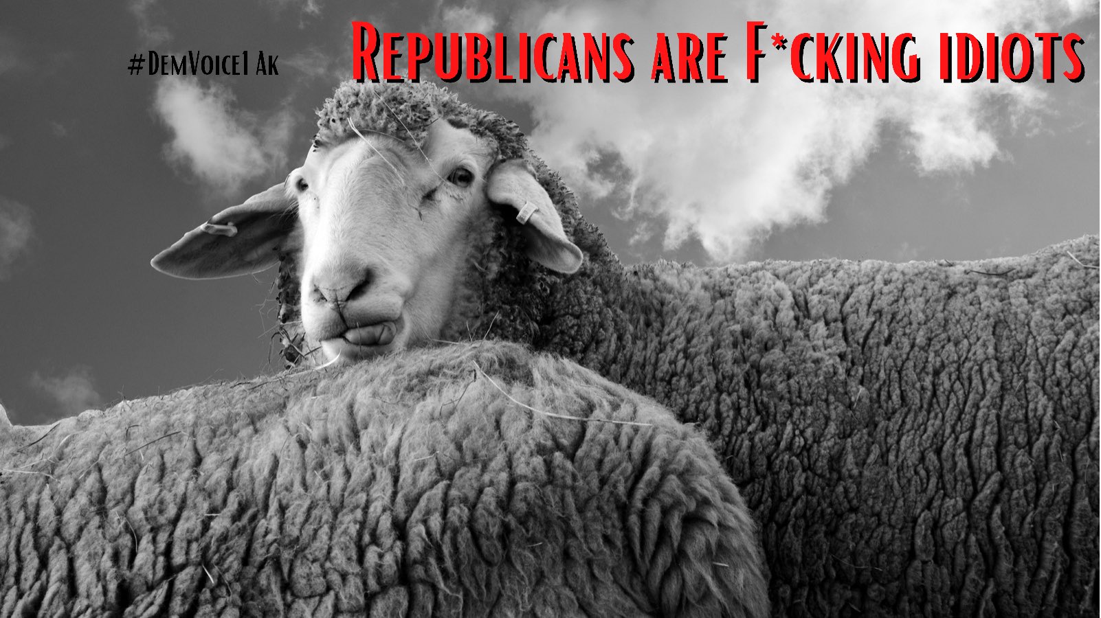 FAq6ky6XsAYHI5Z?format=jpg&name=large