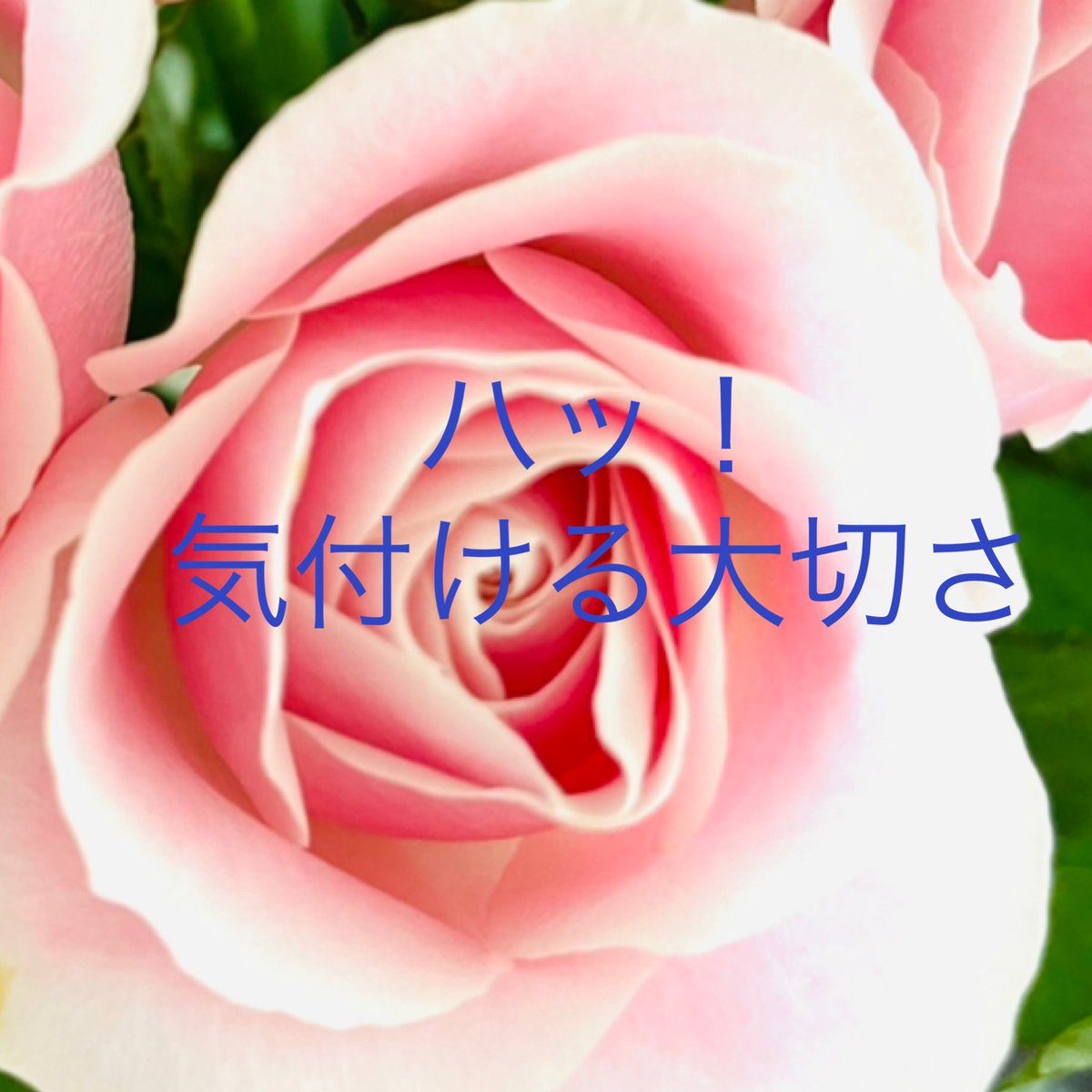 ニール ドナルド ウォルシュ Twitter Search Twitter