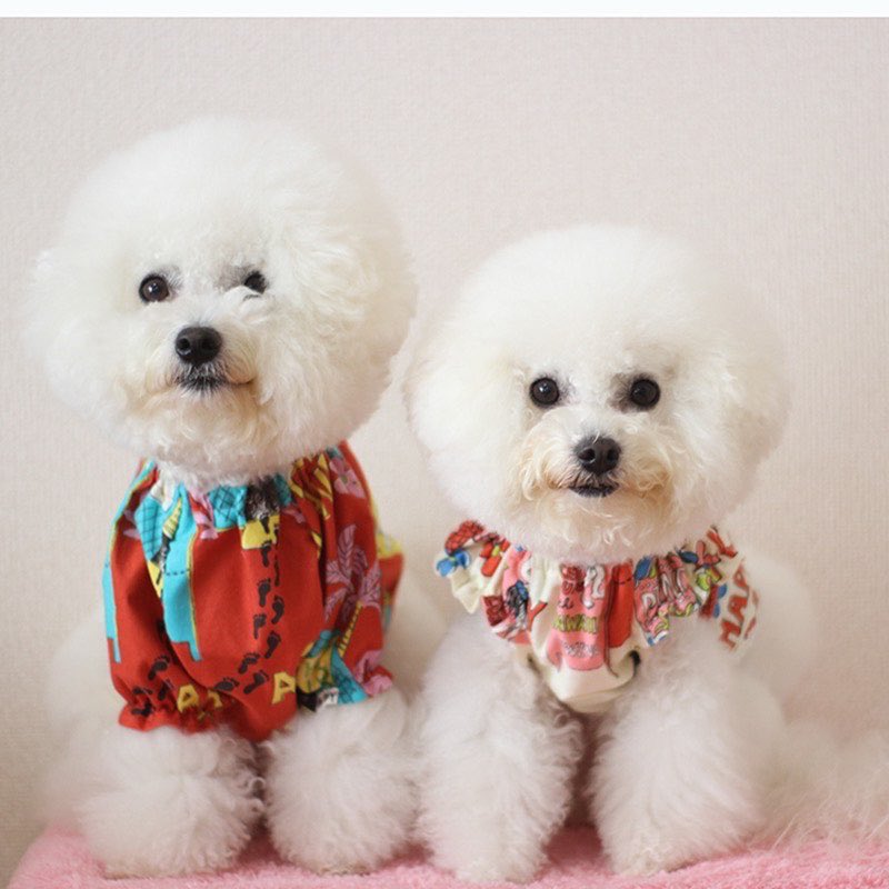 ひなまる Hinata Marupuu Twitter ひなまる Hinata Marupuu Twitter