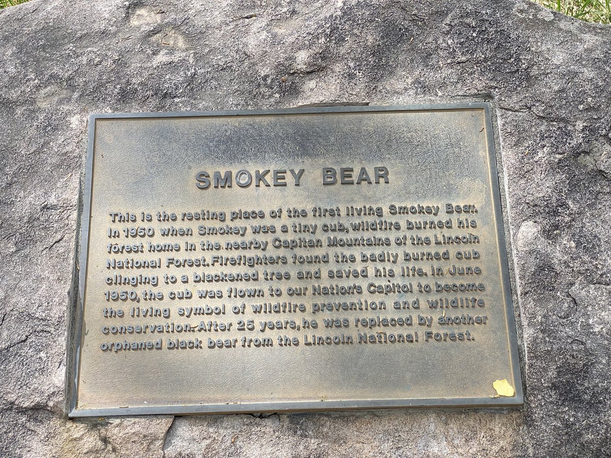 jamesmcentee's tweet photo. Smokey Bear https://t.co/1YuInqtLYk