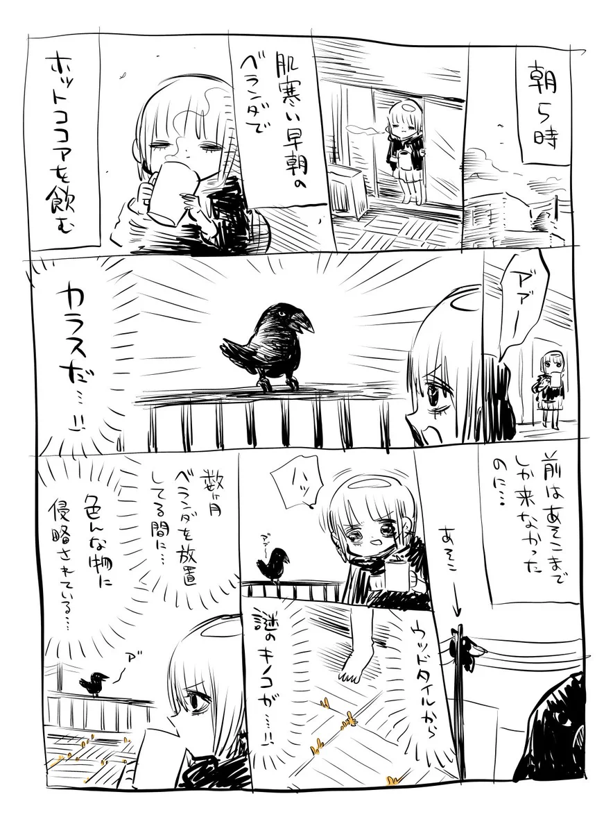 数ヶ月ベランダを放置した結果？色んなものに侵略されてしまうwww