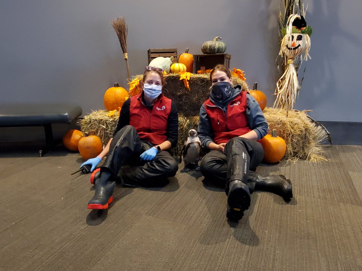 jessleedb's tweet photo. Fall photos with my bestie and my co worker @KP_assionate https://t.co/uGCzXujpjt