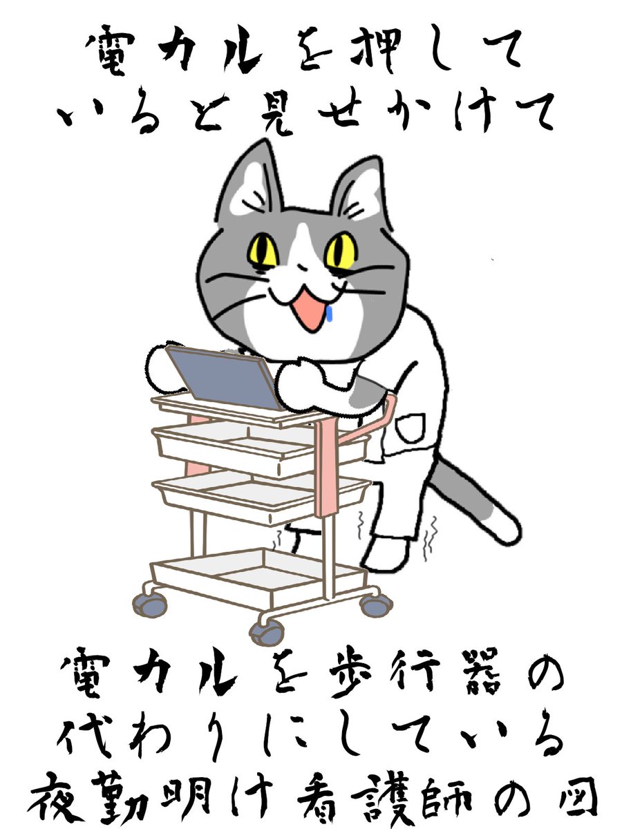 #現場猫 #看護師
健康な成人が要介護者と化す。 