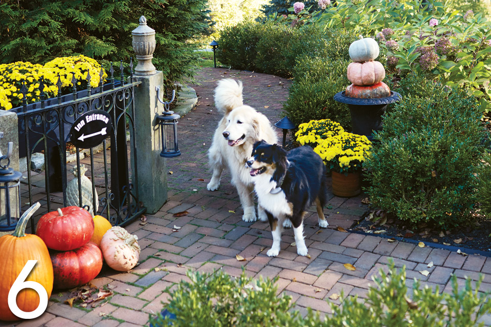 The innkeepers at Granville's Welsh Hills Inn shared six tips for creating cozy outdoor spaces.

🍂 How do you like to decorate your home for fall? ohiomagazine.com/home-garden/ar…