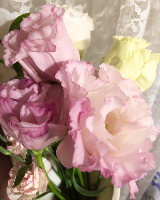 トルコキキョウのtwitterイラスト検索結果