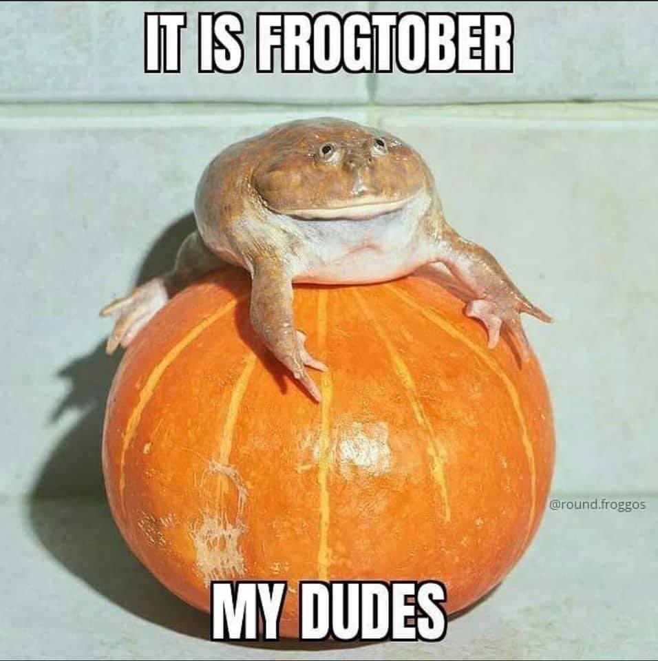🎃🐸