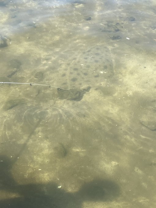 Twitterのコスプレ画像22