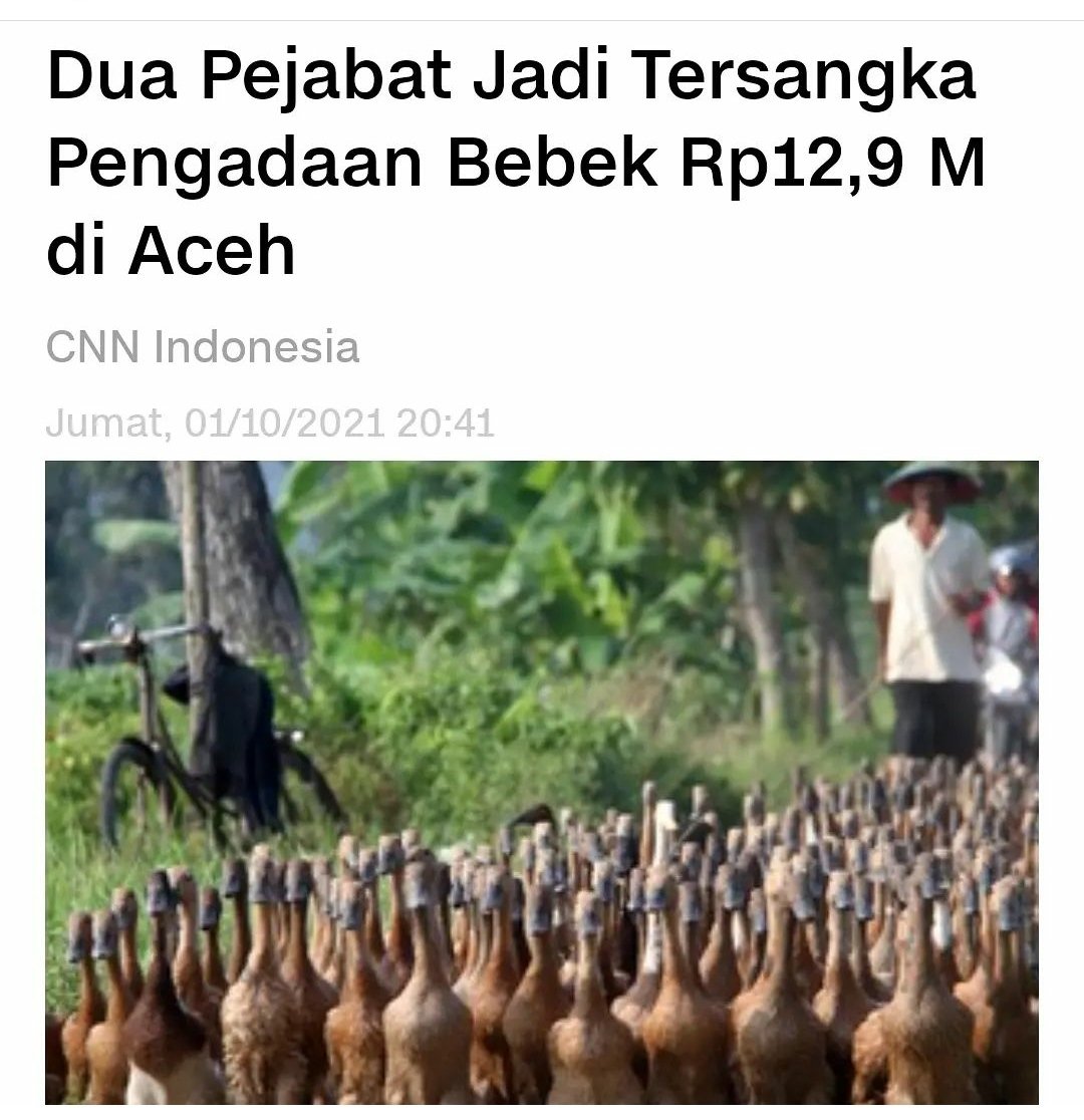 samsul_ibr's tweet image. Ngurusin bebek saja tak bisa pejabat @Aceh apalagi ngurusin rakyat aceh. Otaknya korup 😷