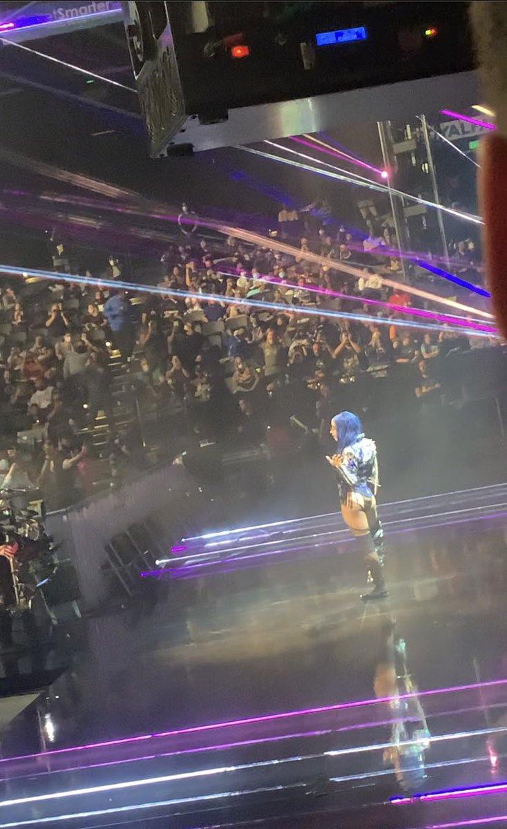 ALegitBoss_'s tweet photo. The Blueprint @SashaBanksWWE 💙🐐 https://t.co/LySGZ6wGAO