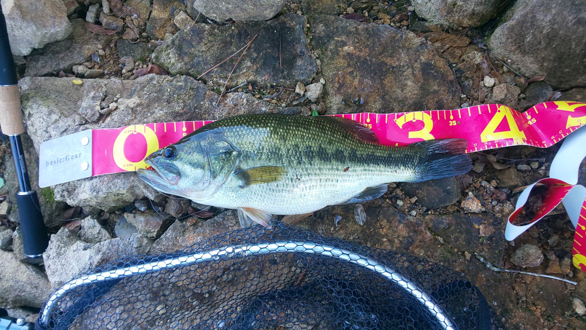 祐介 バス釣り Yusuke Angler Twitter