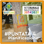 Photo by Compagnia Foreste (@CompagniaForest)