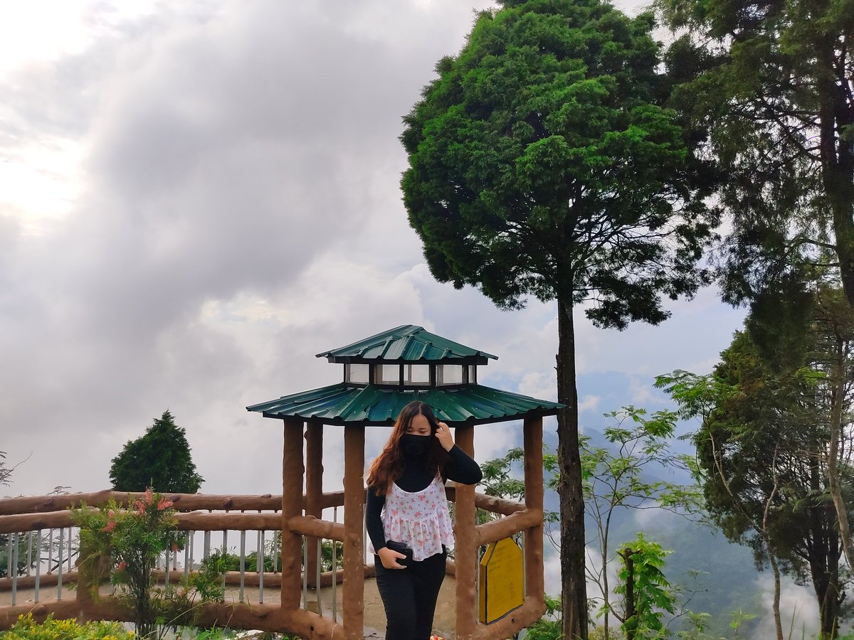 thehummingworld's tweet photo. Happy Birthday to me🥳 https://t.co/uzPYQv5R3y