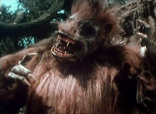 A3Dnazrigar's tweet photo. While searching for scraps regarding Pop Culture Ground Sloths... Behold. THE FIRST POP CULTURE GROUND SLOTH.
This guy from Unknown Island (1948).
Look. At. His. Magnificence.
#groundsloth #giantgroundsloth #filmtwitter #oldmovies #moviemonsters #sloth https://t.co/mA9qz0eos9