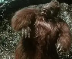 A3Dnazrigar's tweet photo. While searching for scraps regarding Pop Culture Ground Sloths... Behold. THE FIRST POP CULTURE GROUND SLOTH.
This guy from Unknown Island (1948).
Look. At. His. Magnificence.
#groundsloth #giantgroundsloth #filmtwitter #oldmovies #moviemonsters #sloth https://t.co/mA9qz0eos9