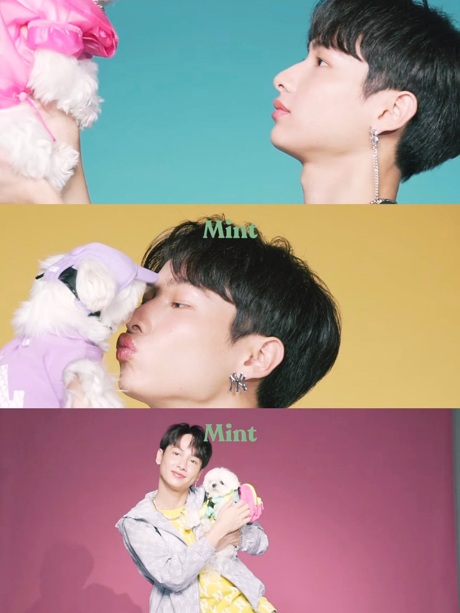 ItRealMeNaJa's tweet photo. น่ารักน่าเอ็นดูว์ทั้งด่าด้าและยัยบี๋
https://t.co/ju40NpatPX
#GunBiBiXMintPet
#กันอรรถพันธ์น่ารักกว่าที่คิด
#บี่บี๋ https://t.co/gNI5G36kjC