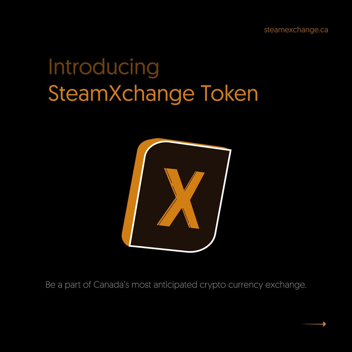 Steam Exchange