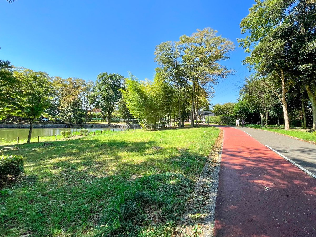 kasokukitearoom's tweet photo. .
午前中の涼しいうちに🚙で10分の
市内でいちばん大きな公園をお散歩

　　　　　#爽やか

　　　　　#秋晴れ

.
.

#iPhone12 の広角カメラ(0.5倍) で撮影
#a2021 #a1002
. https://t.co/u57yjr6ivY