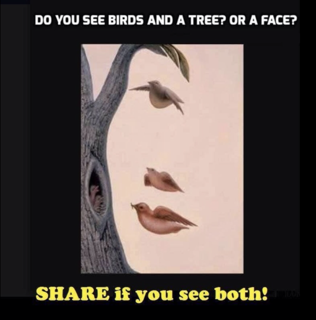 TheShitadel's tweet photo. you would be wise not to MISPLACE your IDENTITY, SHITIZENS! https://t.co/PxpEEUAmDb