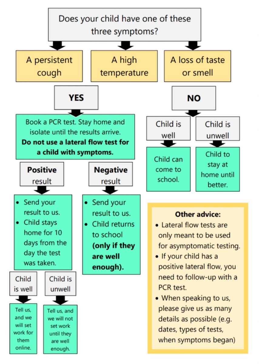 Dynamic Deputies - Russ & Steve tweet media